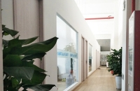 梅花聯軸器的異常及原因